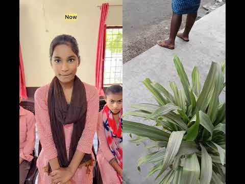 Government School vs Private School 😂 | Desi Funny Video#schoollife #funny