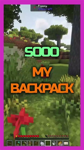 This Backpack Mod is almost TOO GOOD
