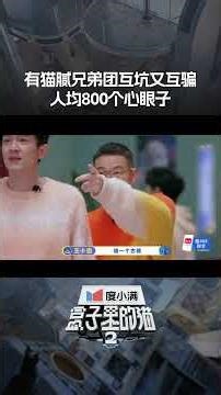 #盒子里的猫 有猫腻兄弟团热血集结，整蛊不断，主打一个相爱相杀！ #盒子里的猫 #盒子里的猫2官宣定档 #盒子里的_