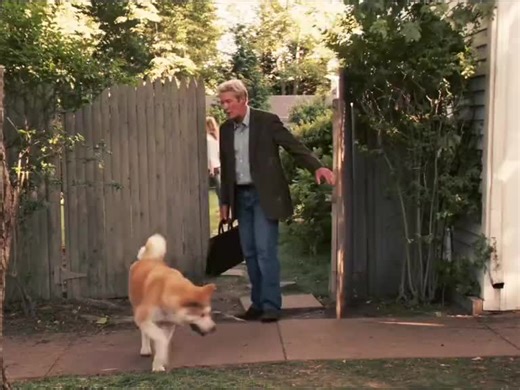 ##donavan #creatersearchinsights