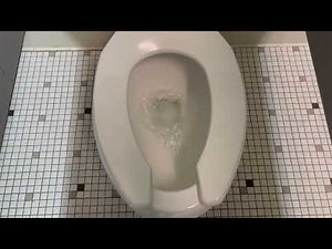 LA Fitness Men’s Locker-Room Restroom