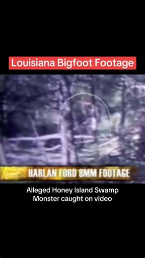 Louisiana Bigfoot Footage - alleged Honey Island Swamp Monster caught on video #paranormal #bigfoot #horror #creepy #fyp | The Strangest