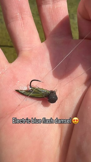57 reactions · 5 comments | When the water is clear and the fish spooky we like to fish darker patterns and a favourite is this damsel booby tied using our unique electric blue flash damsel. #flytying #flyfishing #flytyingaddict #flyfishingaddict | Upavon Fly Fishing | Facebook