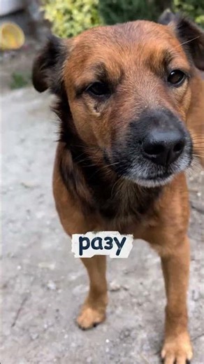 «Плюх тест пройдено успішно ✅💦»