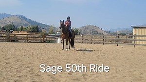 First Steps to Starting Your Horse
