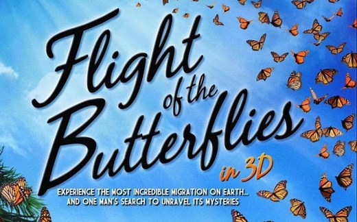 【4K纪录片】《帝王蝶的迁徙》Flight of the Butterflies.UHD