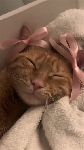 SOULSCRIPTED HEART 💕 on Instagram: "🇯🇵この速度に達すると、もはや陸上を移動しているのではなく、音速で移動していることになります🚀🌍 このシミュレーションは、マッハ1、つまり時速約1,330kmで日本を超音速鉄道で旅するとどのような感じになるかを視覚化したものです。現在、日本の最速列車は約時速320kmで運行されており、超高速リニアモーターカーのような先進的な試験プラットフォームでは、制御された環境下で時速600kmを超えています。 このシミュレーションはそれをはるかに超え、現在の鉄道コンセプトが真の超音速システムに進化した場合に何が可能になるかを探ります。この速度に到達するには、単なる動力だけでは不十分です。エンジニアたちは、超高速走行における最大の制限要因である空気抵抗を排除するために、磁気浮上、ほぼゼロ摩擦のガイドウェイ、真空または低圧チューブシステムなどを研究しています。マッハレベルの移動では、わずかな空気の乱れでさえ構造上の課題となります。 だからこそ、将来の超音速鉄道構想は、精密誘導システム、AI制御の安定性、そして数百キロメー