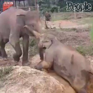 152K views · 4.2K reactions | Even elephants can use a helping hand. ❤️ | People | Facebook