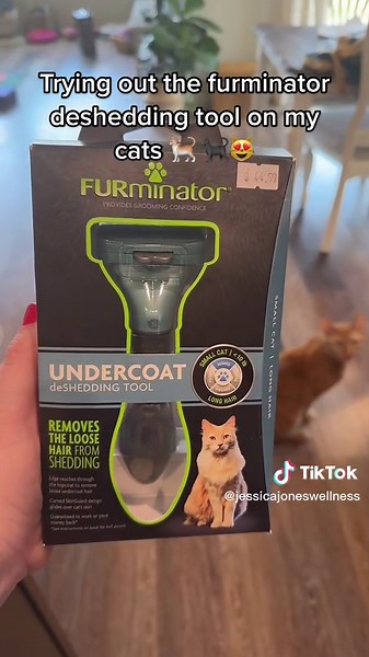 Effective Cat Deshedding Tool Review: Is the Furminator Worth It?