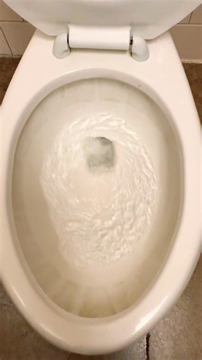 American Standard Toilet Flush | Men’s Restroom, Chuck E. Cheese, Honolulu, Oahu, Hawaii, USA