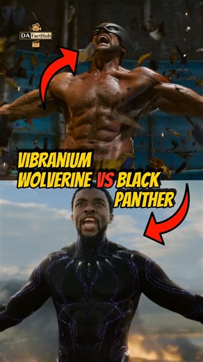 Powers of Vibranium Wolverine!!