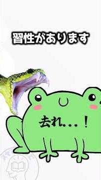 [Horrifying] Thousands of frogs "self-destructed" in a pond. Bioterrorism? The cruel truth reveal...