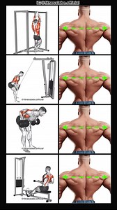 171K views · 2.1K reactions | ✅ How to Build a Wider Back ① Command Pull-up ② Cable Pullover ③ Reverse Grip Bend Over Row ④ Wide Grip Seated Row 3 sets 12-15 reps #fitness #gym #exercise #workout #workoutroutine #exercisetips #fitnesstips #bodybuilding #backworkout | Fitnesslabo | Facebook