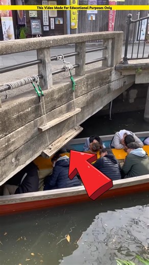 The boat driver did not cheat the passengers