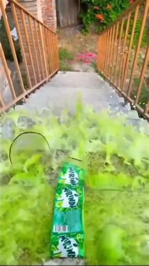 🔥 Amazing Science Experiment Using Bottles | Simple Home Experiment