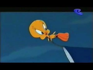 2000'S - TWEETY'S HIGH FLYING ADVENTURE PROMO IN BOOMERANG