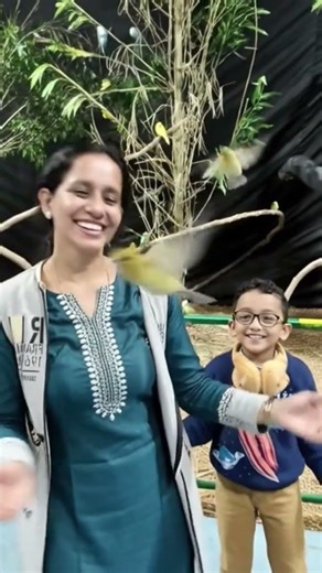 🚦🚥🚦🚥🚦Instagram alaparaigal 😍#ytshorts #babyshorts #tamiltrending 💙🧿