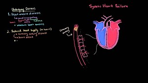 Systolic heart failure pathophysiology
