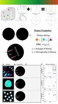 JCS snapshot: Redefining colocalization analysis with a novel phasor mixing coefficient