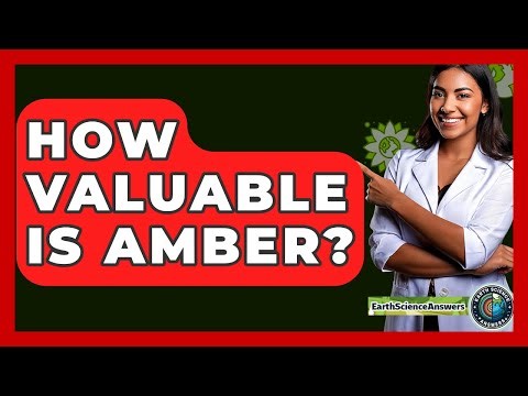 How Valuable Is Amber? - Earth Science Answers