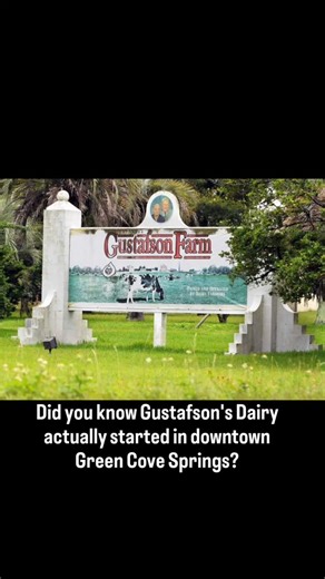 Agnes and Frank Gustafson, better known as Mama and Papa Gus, were Swedish immigrants that settled in downtown Green Cove Springs. They lived at 515 Walnut Street, and around 1908, Agnes began selling milk and home-churned butter from her pet cow, Buttercup. Demand for Mama Gustafson's dairy products grew and the couple soon added more cows to their Walnut St herd. The problem was, the cows were not fenced and roamed the streets of downtown Green Cove Springs, leaving manure wherever they went a