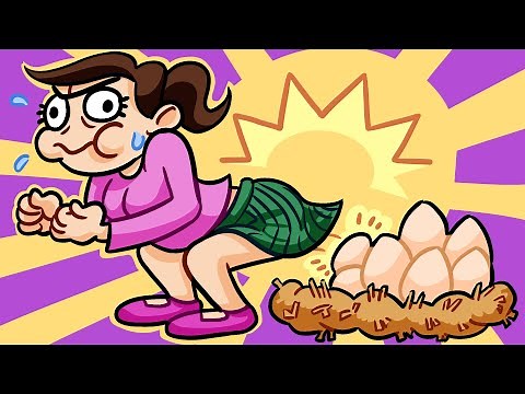 What If Humans Laid Eggs - INFAQT! | Animation | Cartoons | Pencilmation