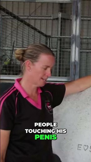 Horse Penis Cleaning: How Often & Why You MUST Do It! #shorts