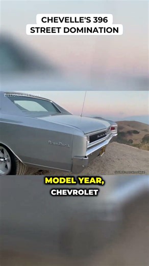 Chevelle's 396 Street Domination