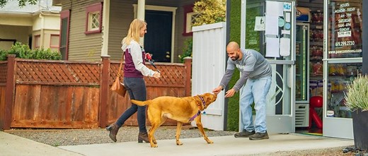 Paw Commons Hillcrest San Diego CA Location | Paw Commons Pet Resort