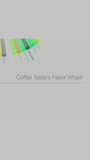 The Specialty Coffee Association’s coffee taster’s flavour wheel is the bible for any coffee connoisseur… ☕️ #coffeetasting #coffeecupping #coffeeflavour #specialitycoffee #coffeeconnoisseur #coffeelovers