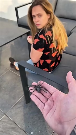 Hilarious Family Prank Videos That Will Make You Laugh