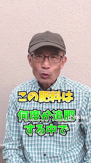 トウモロコシ栽培の最後の追肥テクニック