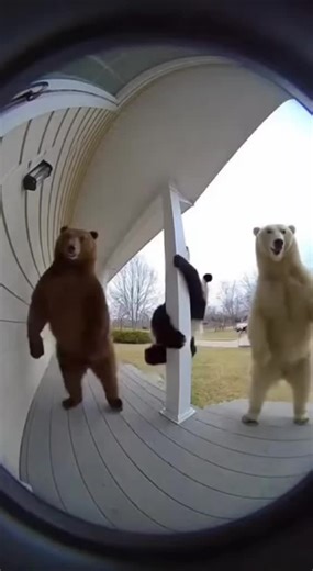 Las aventuras divertidas de los tres osos