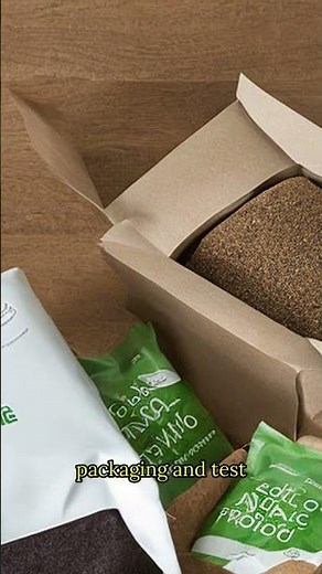 Compostable vs Biodegradable: What’s the Real Difference?