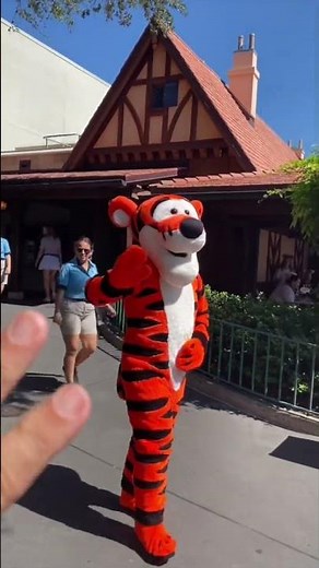 Winnie the Pooh and Tigger Too!