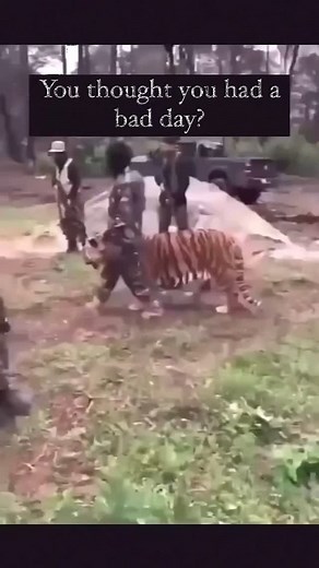 cold.ice on Instagram: "🥷🏼🥷🏼🥷🏼 Follow_for_more #explorepage #explore : #viral #fyp #fun #accident The Porsche engineers knew exactly what their objective was: to make the new 911 GT2 RS the most powerful Porsche for the road. Objective achieved. The water- cooled six-cylinder bi-turbo Boxer engine with four-valve technology, variable turbine geometry (VTG) and VarioCam Plus delivers its power through the rear axle. According to Musk, the design of the Cybertruck was inspired by Blade Runne