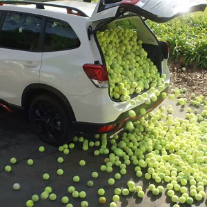 The all-new 2019 Subaru Forester®. With up to 76.1 cubic feet of cargo space, you can bring a lot of anything. | Subaru of America, Inc.