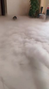 3500w dry ice low lying ground smoke fog machine #fogmachine #fogmachines #fogmachine #lowlyingfog #lowlyingfogmachine #smokemachine #smokemachines | Blue Sea Lighting | Facebook