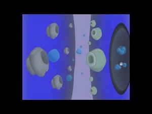 MDMA's effect on serotonin (How ecstasy works Part 2)