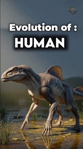 "3.5 Billion Years of Human Evolution in 60 Seconds" #shorts