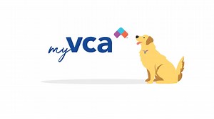 myVCA Ecosystem