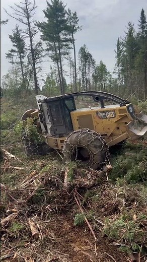The Power of 555D Cat skidder 💪
