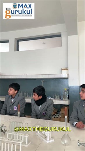 Learning Through Reaction: Teacher–Student Lab Investigation