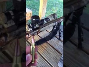 Howa 1500 Bolt Action Chambered in 308: My Favorite Rifle