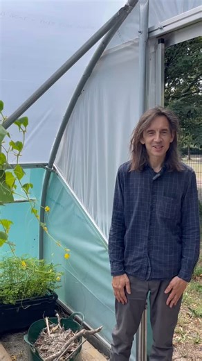 The Burgess Park Community Plant Nursery is a Southwark Council and Glengall Wharf Garden initiative, providing thousands of free vegetable and herb plug plants to community food growing groups across the borough. The site in Chumleigh Gardens, in the heart of Burgess Park, is also a new horticultural learning hub to learn about propagation with a schedule of workshops and volunteering opportunities. To find out more and to hear about the next September winter veg giveaways, follow @burgessplant