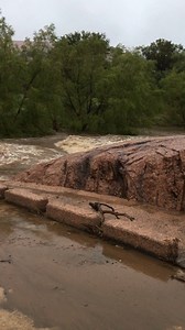 Enchanted Rock State Natural Area at 8 am. The park is closed until further notice. Flooding all around the area. Please be safe. If water on the road, turn around, don't drown. | Enchanted Rock State Natural Area - Texas Parks and Wildlife