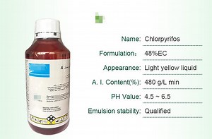 [Hot Item] Pest Control Dursban Lorsban Chlorpyrifos 48�