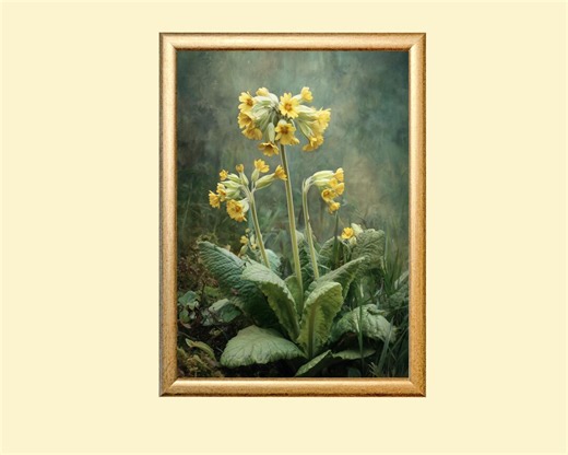 Vintage Common Cowslip Flower Print: European Spring Wildflower Wall Art (digital Download) - Etsy