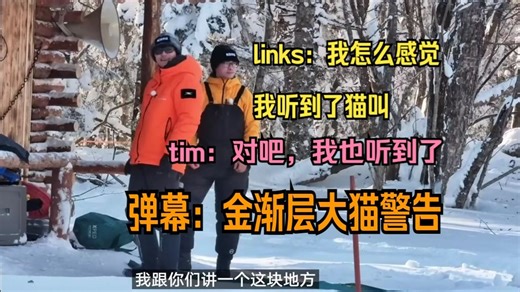 links：我怎么感觉我听到了猫叫，tim对吧，我也听到了弹幕：金渐层大猫警告【影视飓风\u002FTim\u002F飓多多\u002FTim雪地生存100小时】