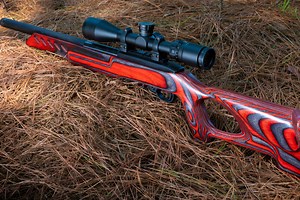 Best Rimfire Ammunition for Small Game Hunting